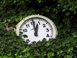 Seattle landscape designer's secret to handling a busy schedule